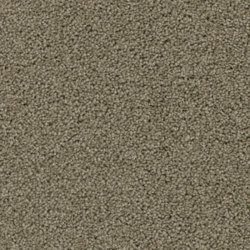 Floorever™ - Ovation by Phenix Carpet - Celebration