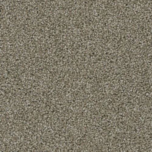 Floorever™ - Ovation by Phenix Carpet - Warm And Fuzzy