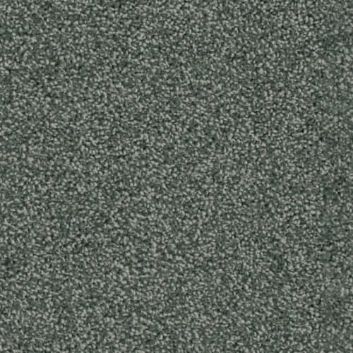 Floorever™ - Ovation by Phenix Carpet - Endorsement