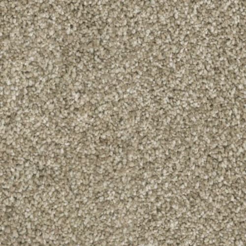 Floorever™ - Intellect by Phenix Carpet - Vibes