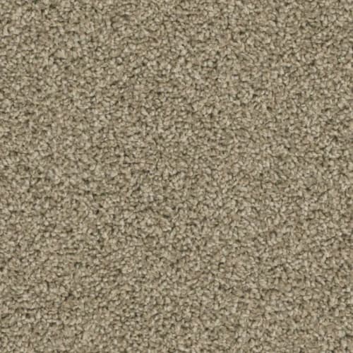 Floorever™ - Intellect by Phenix Carpet