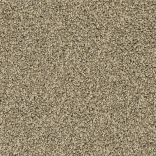 Floorever™ - Intellect by Phenix Carpet - Omen