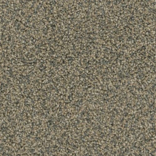 Floorever™ - Intellect by Phenix Carpet - Vision