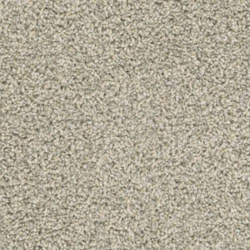 Floorever™ - Intellect by Phenix Carpet - Know-How