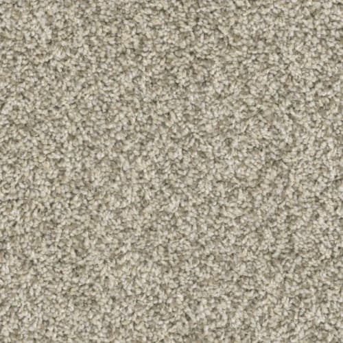 Floorever™ - Intellect by Phenix Carpet - Instinct