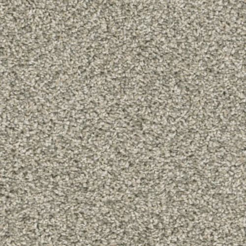 Floorever™ - Intellect by Phenix Carpet - View Point