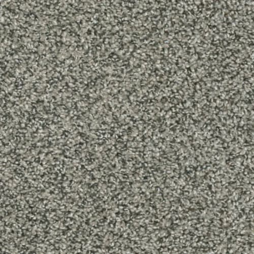 Floorever™ - Intellect by Phenix Carpet - Inside Story