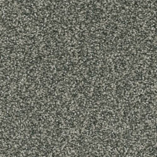 Floorever™ - Intellect by Phenix Carpet - The Force