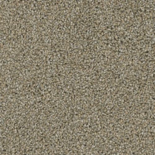 Floorever™ - Insight by Phenix Carpet - Understanding