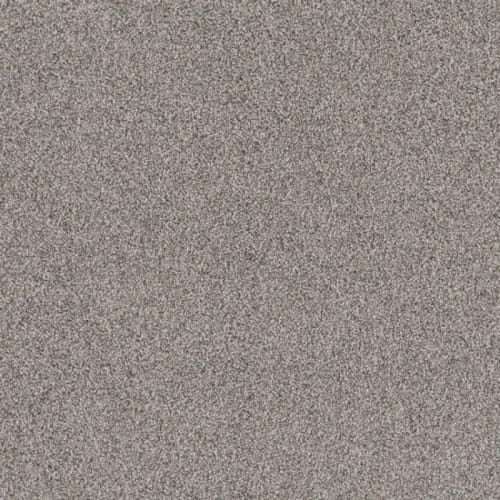 Floorever™ Petplus - Portofino by Phenix Carpet - Sand Dune