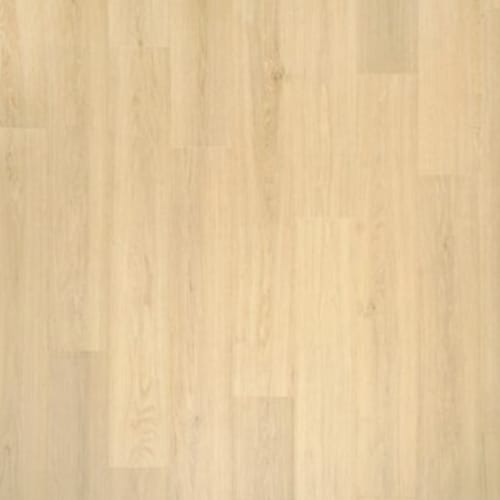 Glazed Ginger Oak