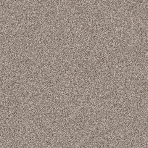 Remixed Classic by Shaw Floors Retail - Pebble