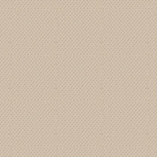 Del Vista by Shaw Industries - Linen