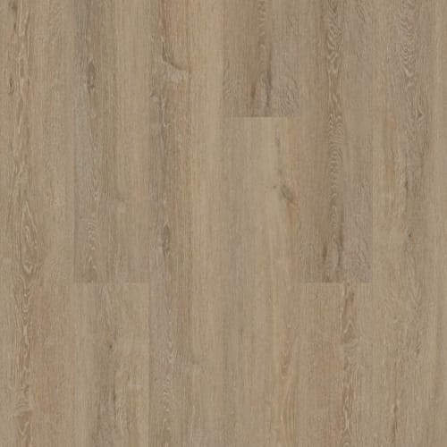 Draco Oak