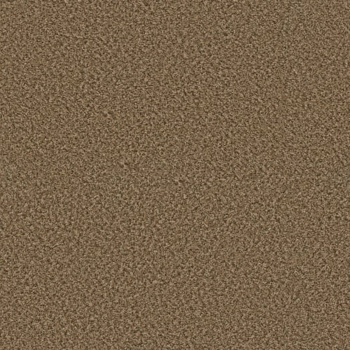 Break Away (B) by Shaw Floors Value - Wicker