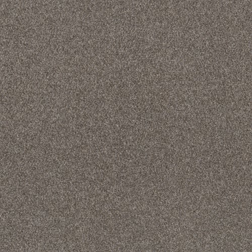 Right Choice by Shaw Industries - Mega Taupe