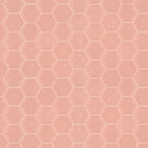 Geoscapes Hexagon by Shaw Industries - First Lady Pink