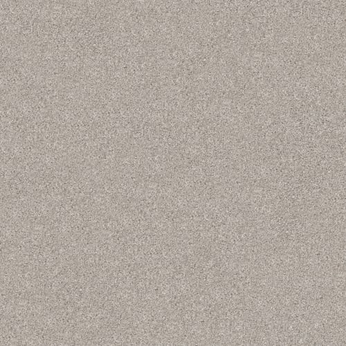 Shake IT UP (T) by Shaw Floors Retail - Baltic Stone