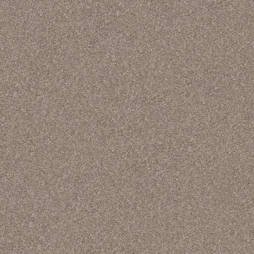 Shake IT UP (T) by Shaw Floors Retail - Biscotti