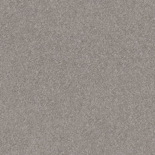 Shake IT UP (T) by Shaw Floors Retail - Cloudy Skies