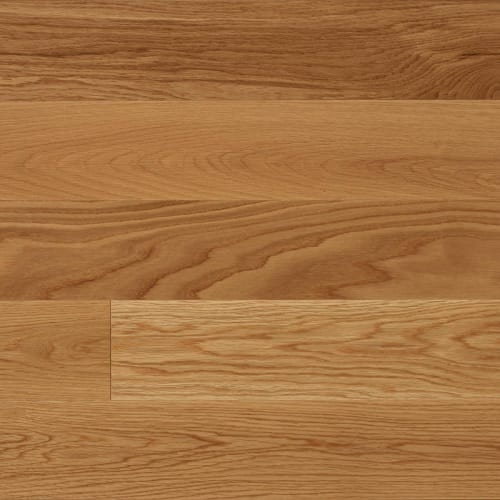 Signature by Express Flooring - Travertine 3.25" -  Hard Maple Excel