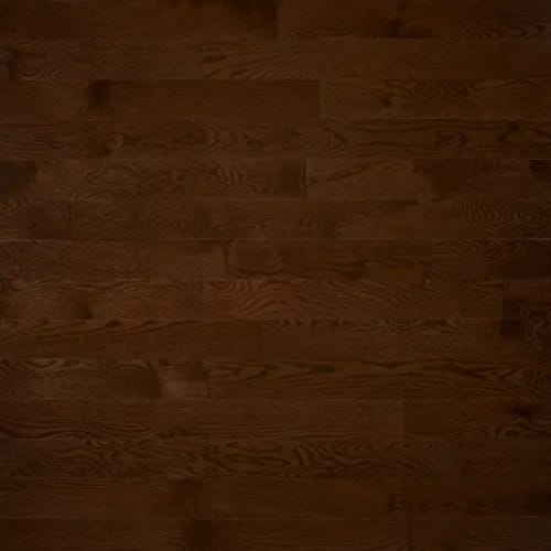 Medici - Red Oak Excel