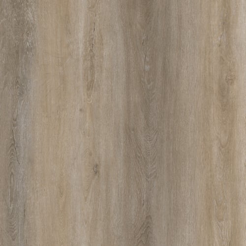 Genius by Carpet Barn Exclusive - Prairie Oak