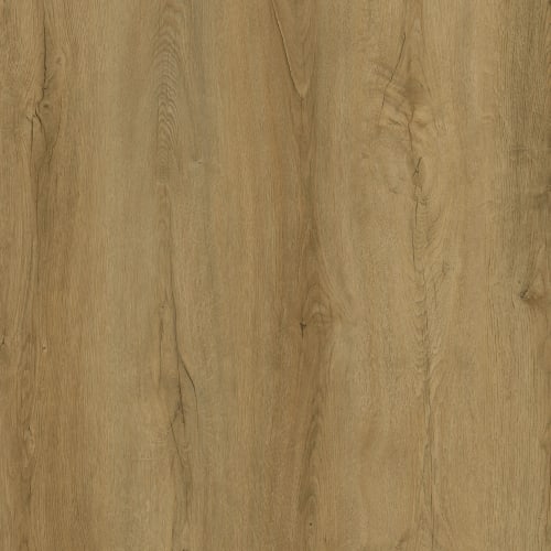 Magnitude by Carpet Barn Exclusive - Wadsworth Oak