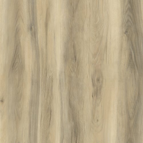 Magnitude by Carpet Barn Exclusive - Tassie Pecan