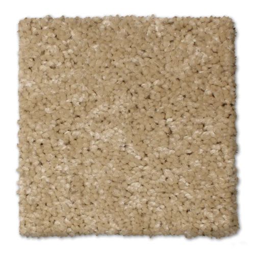 Microban® Polyester - Day Break by Phenix Carpet - Pathway