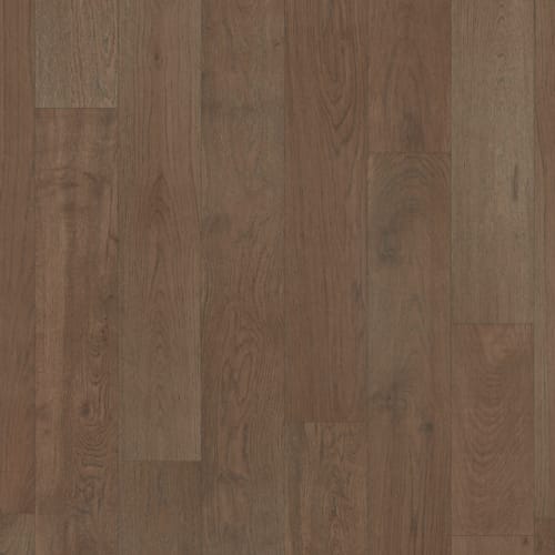 Pashmina Oak