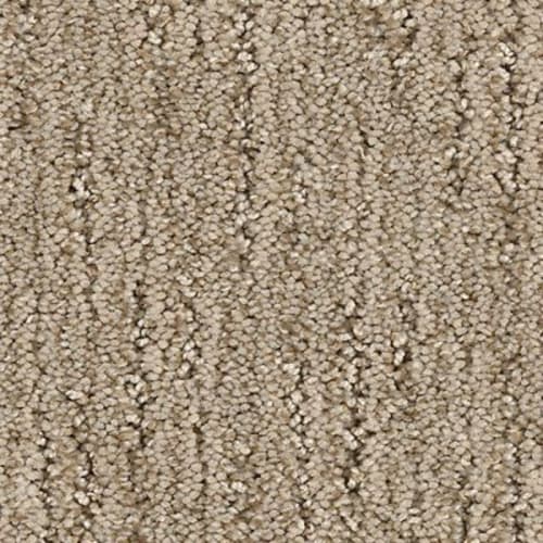 Summer Wheat