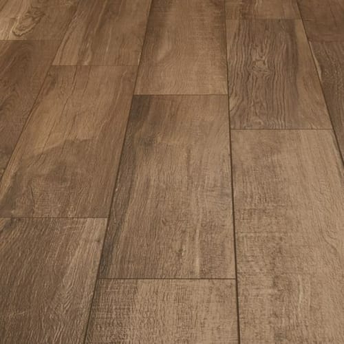 Aequa by Arizona Tile - Castor