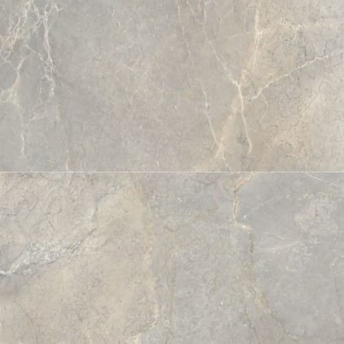 Anthea by Arizona Tile - Earth 24X48