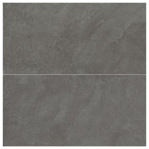 Ardesia by Arizona Tile - Ash 24X48