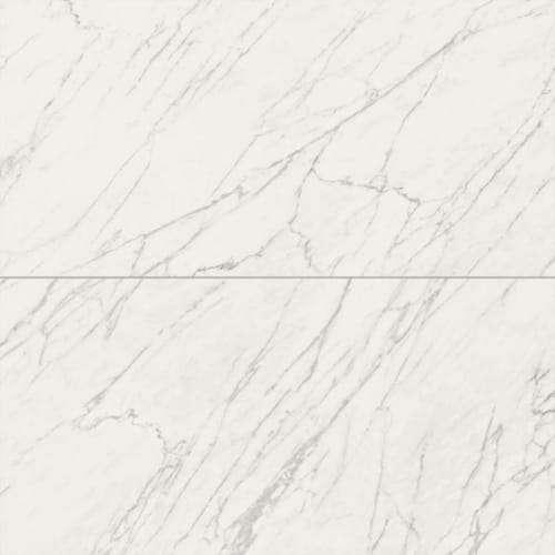 Venatino 24X48