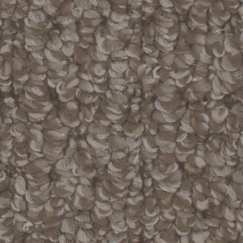 Floorever™ Petplus - Cardigan by Phenix Carpet