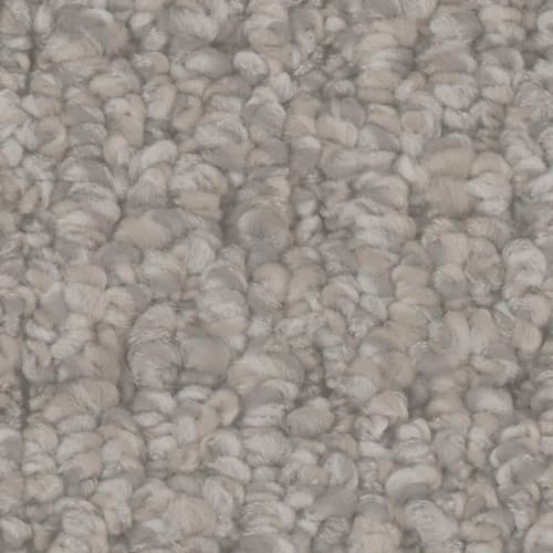 Floorever™ Petplus - Cardigan by Phenix Carpet