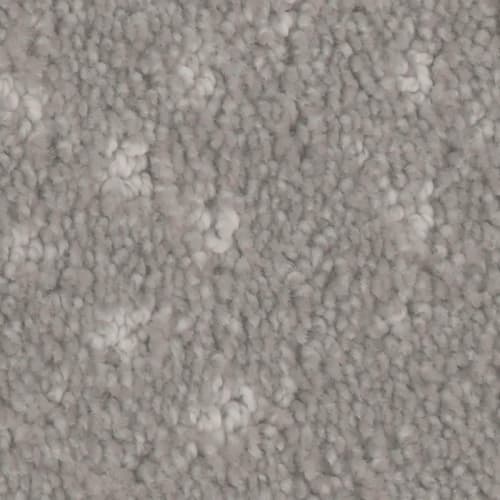 Floorever™ Petplus - Impression by Phenix Carpet - Emboss