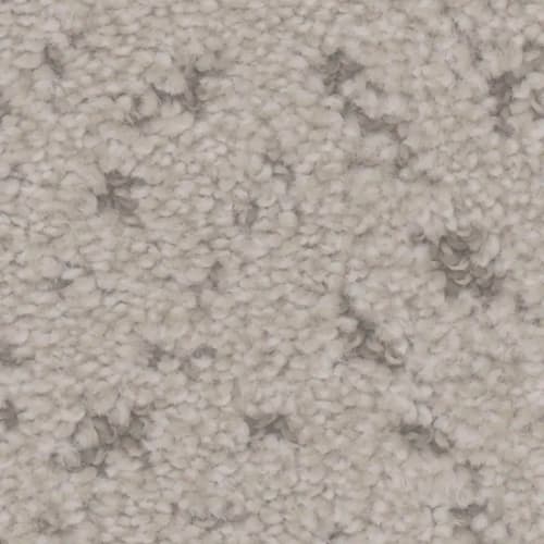 Floorever™ Petplus - Impression by Phenix Carpet - Stamp