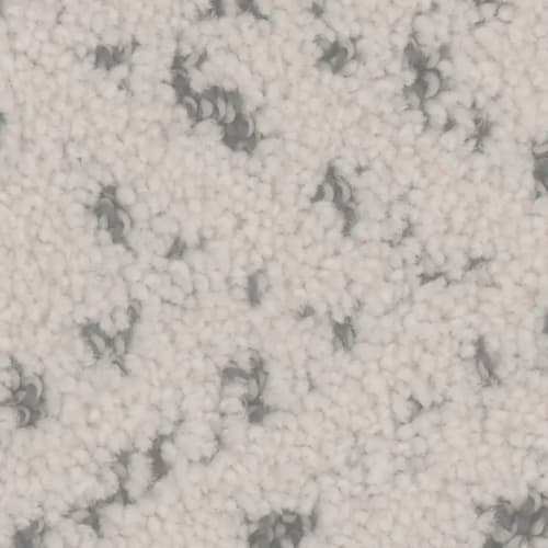 Floorever™ Petplus - Impression by Phenix Carpet - Forge