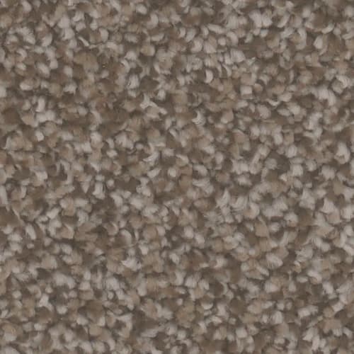 Microban® Polyester - Foundation I by Phenix Carpet