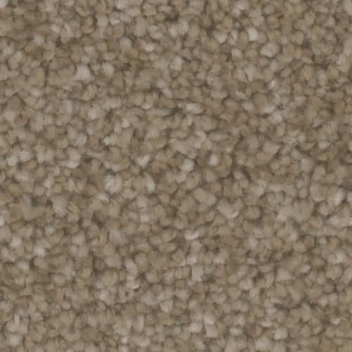 Microban® Polyester - Foundation II by Phenix Carpet