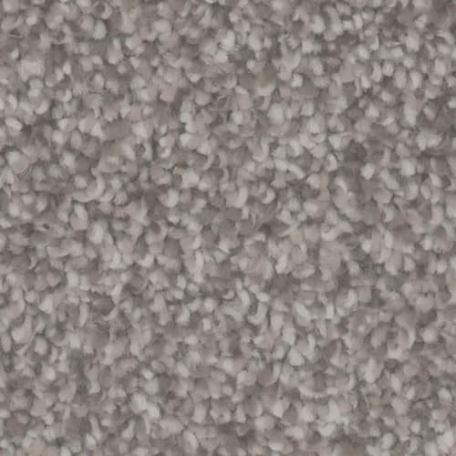 Microban® Polyester - Foundation II by Phenix Carpet