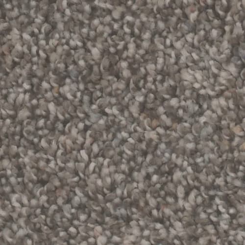 Microban® Polyester - Dolce by Phenix Carpet - Espresso