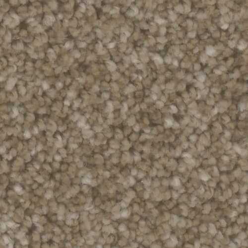 Microban® Polyester - Mirage II by Phenix Carpet