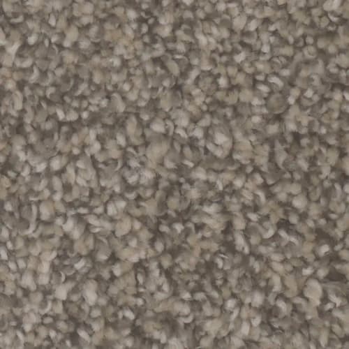 Microban® Polyester - Mirage II by Phenix Carpet