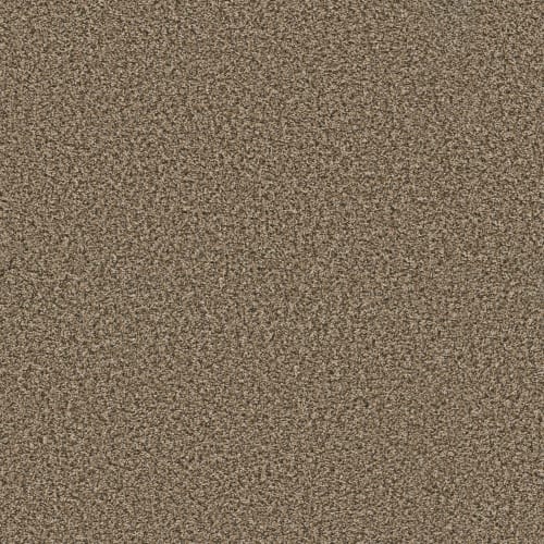 Break Away (B) by Shaw Floors Value - Safari