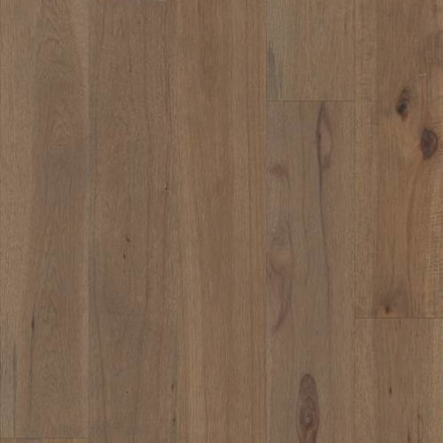 Castlewood Hickory by Shaw Industries - Greyfriar