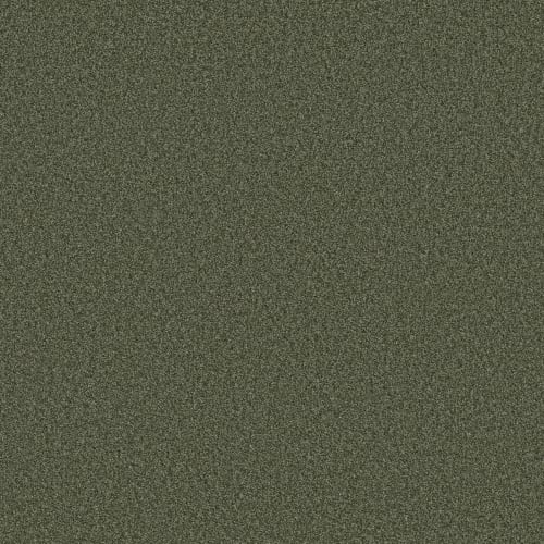 Olive Grove